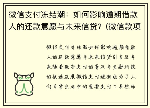 微信支付冻结潮：如何影响逾期借款人的还款意愿与未来信贷？(微信款项被冻结)