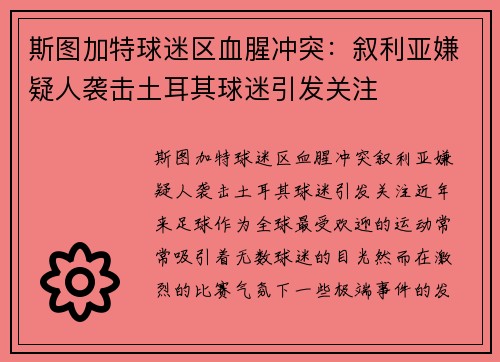 斯图加特球迷区血腥冲突：叙利亚嫌疑人袭击土耳其球迷引发关注